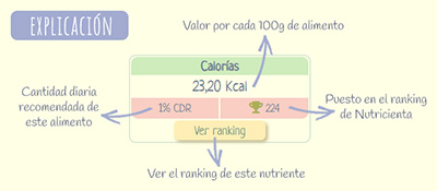 Explicación de las propiedades nutricionales: Calabacín