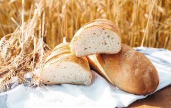 propiedades nutricionales del alimento Pan blanco de trigo